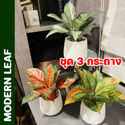 ต้นไม้ปลอม ชุด 3 กระถาง ซุปเปอร์เฮงปลอม อุดมทรัพย์ปลอม เงินทองเต็มบ้านปลอม