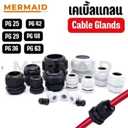 เคเบิลแกลน Cable Glands PG25,PG29,PG36,PG42,PG48,PG63 สินค้าในไทย มีของพร้อมส่ง