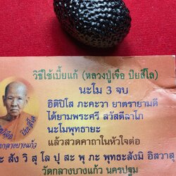 เบี้ยแก้หลวงปูู่เจือ วัดกลางบางแก้ว จ.นครปฐม พร้อมใบคาถา (SKU-13645)