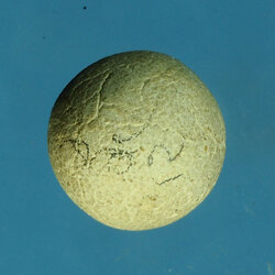 *30248 ลูกอมเนื้อผงพุทธคุณ หลวงพ่อจรัญ ชุดวัดพรหมบุรี 2496 สิงห์บุรี 82