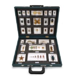 Teaching Case "27 Invertebrates(Invertebrata)"