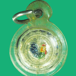 *39386 เหรียญไก่เม็ดกระดุม หลวงปู่สรวง วัดถ้ำพรหมสวิสดิ์ พัฒนานิคม ลพบุรี เลี่ยมพลาสติกเก่าสิบกว่าปี 69