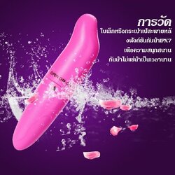 เครื่องนวดโลมา