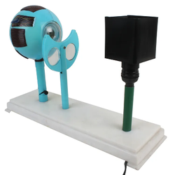 แบบจำลองการทำงานของดวงตามนุษย์