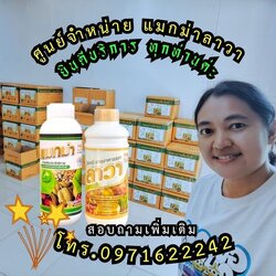 ศูนย์จำหน่ายแมกม่าแห่งประเทศไทย