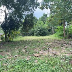 ขายที่ดิน สนามชัยเขต 150 ตรว | เจ้าของขายเอง ถมแล้ว ติดถนน