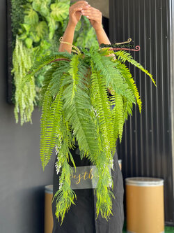 ต้นเฟิร์นปลอมแบบแขวน กระเช้าเฟิร์นปลอมเสมือนจริง งานเกรดพรีเมี่ยม ราคาปลีก-ส่ง