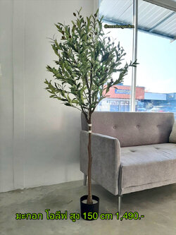 ต้นมะกอกปลอม หรือต้นโอลีฟปลอม ต้นไม้ปลอม ต้นไม้ประดิษฐ์ ต้นไม้เทียม ต้นไม้ปลอมพร้อมกระถาง
