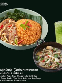 [E-voucher] Thai Terrace - / ไทยเทอเรส - ข้าวผัดพริกมันกุ้ง-เป็ดย่างกะเพรากรอบ+ต้มยำเห็ดรวม+น้ำใบเตย