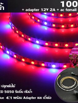 MJ-tech ไฟ Led ปลูกต้นไม้ แบบ LED 5050 ริบบิ้น กันน้ำ ยาว 100 cm สัดส่วน Red:Blue 4 :1 พร้อม Adapter และ ขั้วต่อ