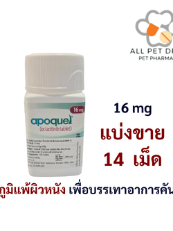 Apoquel 16 mg (บรรจุ14 เม็ด)ใช้โรคภูมิแพ้ผิวหนัง เพื่อบรรเทาอาการคัน