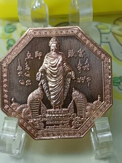 เหรียญพระปางเปิดโลก เปิดดวงเศรษฐี วัดดอนใหญ่ ลำลูกกาคลอง 8 ปี 2567