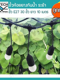 สายไฟยางกันน้ำ ขั้วห้อยยางกันน้ำระย้า 10 เมตร แถมฟรี หลอดปิงปอง ZeaZon ขนาด 25W 30 ดวง