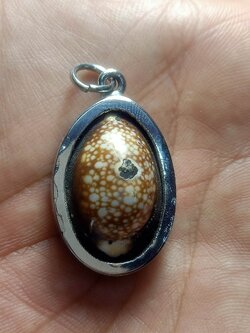 เบี้ยแก้ วัดเขาอ้อ จ.พัทลุง (SKU-02318)