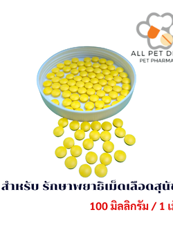 Doxycycline 100 mg สำหรับรักษา พยาธิเม็ดเลือดสุนัข