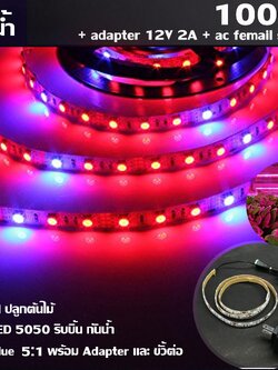 MJ-tech ไฟ Led ปลูกต้นไม้ แบบ LED 5050 ริบบิ้น กันน้ำ ยาว 100 cm สัดส่วน Red:Blue 5 :1 พร้อม Adapter และ ขั้วต่อ