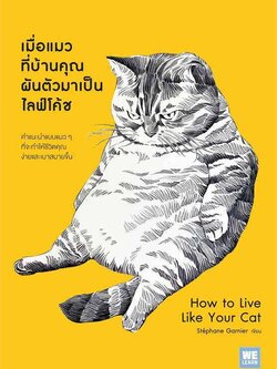 คำแนะนำแบบแมวๆ ที่จะทำให้ชีวิตคุณสบายขึ้น