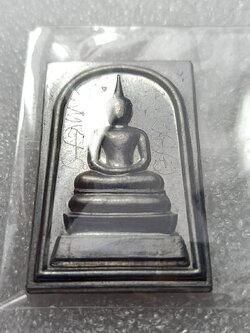 เหรียญสมเด็จ หลวงพ่อเอื้อน วัดวังแดงใต้ จ.อยุธยา ปี 2558 (SKU-09729)