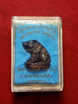 พญาสิงห์ หลวงพ่อหวล วัดชาวเหนือ จ.ราชบุรี ปี 2559 พร้อมกล่อง (SKU-03396)