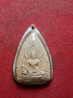 พระผงชินราช พุทธสมาคม ปี 2515 จ.พิษณุโลก (SKU-08291)