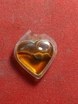 สาริกาไม่ทราบที่ (SKU-01641)