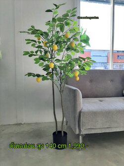ต้นเลม่อนปลอม ต้นไม้ปลอม ต้นไม้ประดิษฐ์ ต้นไม้เทียม ต้นไม้ปลอมพร้อมกระถาง