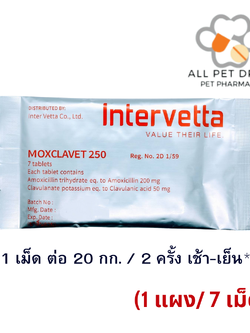 Moxclavet 250 mg (1แผง/7 เม็ด)ฆ่าเชื้อสำหรับสุนัขและแมวขาย