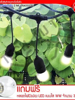 M BOSS สายไฟยางกันน้ำ ขั้วห้อยยางกันน้ำระย้า สายเเพรชุดหลอดไฟปิงปอง ยาว 10 เมตร แถมฟรี หลอดปิงปอง LED แบบใส แสง WW 30 ดวง (ส่งฟรีทั่วไทย)