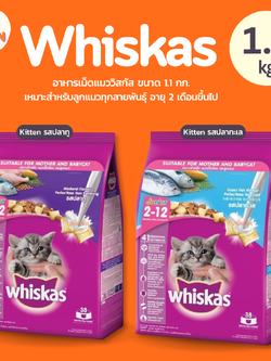 [สูตรลูกแมว 1.1kg.] WHISKAS วิสกัส จูเนียร์ อาหารลูกแมว,อาหารแมว ชนิดแห้ง สำหรับลูกแมว อายุ 2–12 เดือน