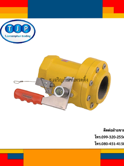 วาล์วปิดฉุกเฉิน Fisher Emergency Shut off Valve(N551-16)