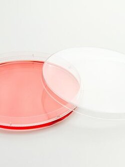 Easydish 35x10mm,500/cs (**เช็คสต๊อกสินค้าก่อนสั่งซื้อ**) 150460