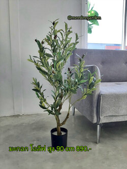 ต้นมะกอกปลอม หรือต้นโอลีฟปลอม ต้นไม้ปลอม ต้นไม้ประดิษฐ์ ต้นไม้เทียม ต้นไม้ปลอมพร้อมกระถาง