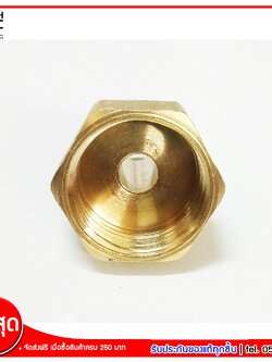 ข้อต่อหางปลาไหล ทองเหลือง จำนวน 1 ชิ้น ขนาด 8 มม,ขนาด 10 มม,ขนาด 12 มม,ขนาด 14 มม,ขนาด 16 มม