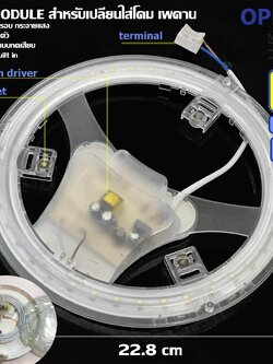 Opple ชุดวงแหวน LED รุ่น C Module 22W แสง Daylight 6500K ขนาด 22.8 x 2.9 cm สำหรับเปลี่ยน ทดแทน หลอดนีออนกลม