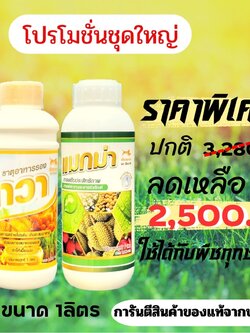แมกม่า-ลาวา(ชุดใหญ่) 2 ขวด บรรจุขวดละ 1 ลิตร สารจับใบแมกม่า เร่งการดูดซึมเร็วให้กับใบพืช ปุ๋ยน้ำลาวาเร่งการเจริญเติบให้กับพืชได้ทุกส่วน
