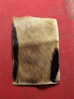 หนังเสือ หลังจารมือ ไม่ทราบที่ ขนาด 5*8 ซม. (SKU-02051)