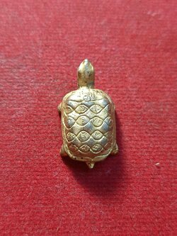 พญาเต่าเรือน (เต่ามหาลาภ) หลวงปู่ทรัพย์ วัดตลุก จ.ชัยนาท (SKU-03486)