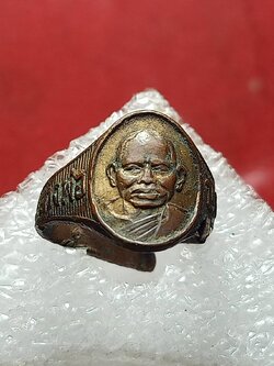 เหรียญหลังเต่า หลวงพ่อปาน วัดบางเหี้ย จ.สมุทรปราการ (SKU-12710)