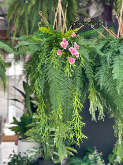 ต้นเฟิร์นปลอมแบบแขวน กระเช้าเฟิร์นปลอมเสมือนจริง งานเกรดพรีเมี่ยม ราคาปลีก-ส่ง