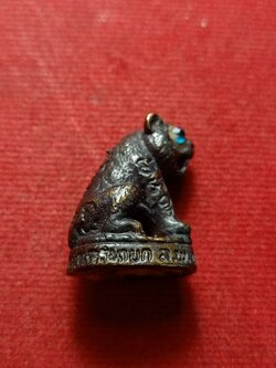 เสือหลวงพ่อเกิด วัดโพธิ์แทน จ.นครนายก (SKU-12891)