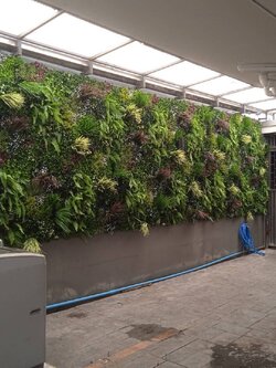 สวนแนวตั้งเทียม Green Wall ผนังต้นไม้เทียม Plant wall สวนแขวนเพดานต้นไม้ปลอม