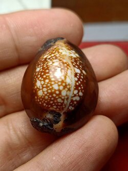 เบี้ยแก้ ไม่ทราบที่ เก่ามาก (SKU-07662)