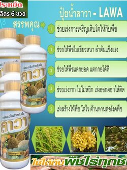 ปุ๋ยลาวา-Lawa (ชุดครึ่งลัง 6 ขวด) บรรจุขวดละ1ลิตร ชุดประหยัดช่วยบำรุง ราก ใบ ดอก ผล เร่งการเจริญเติบโตทุกส่วน