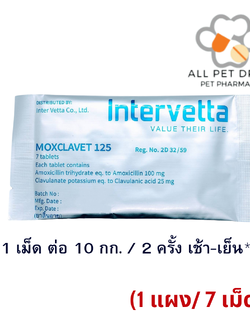 Moxclavet 125 mg (1 แผง/7 เม็ด) ฆ่าเชื้อสำหรับสุนัขและแมว