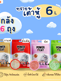 [ยกลัง] POWER CAT ทรายแมวเต้าหู้พาวเวอร์แคท จับก้อนแน่น ไร้ฝุ่น ควบคุมกลิ่นดีเยี่ยม 6L