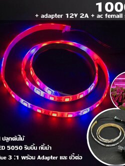 MJ-tech ไฟ Led ปลูกต้นไม้ แบบ LED 5050 ริบบิ้น กันน้ำ ยาว 100 cm สัดส่วน Red:Blue 3 :1 พร้อม Adapter และ ขั้วต่อ