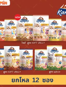 [ ยกโหล 12 ซอง ]Kaniva Pouch อาหารแมว แบบเปียก คานิว่า ผสม Vitamin Balls ขนาด 70 กรัม