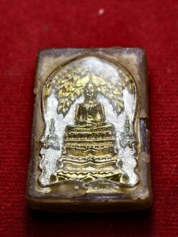 เหรียญหล่อปรกโพธิ์ แพ ร่มเย็น หลวงพ่อแพ วัดพิกุลทอง จ.สิงห์บุรี (SKU-13620)