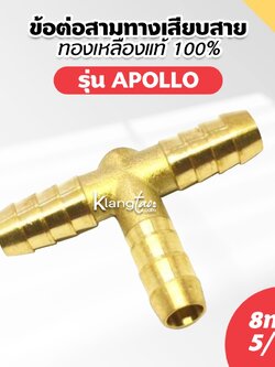 ข้อต่อสามทางเสียบสาย ยี่ห้อ BP 8mm 5/16"
