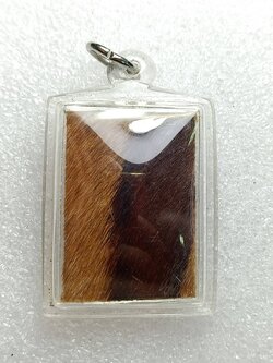 หนังเสือ หลังยันต์ ไม่ทราบที่ (SKU-10135)